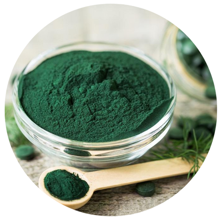 Imagem representando a espirulina, um superalimento rico em nutrientes que auxilia na desintoxicação e no aumento da energia.